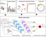 Bastion6: a bioinformatics approach for accurate prediction of type VI secreted effectors