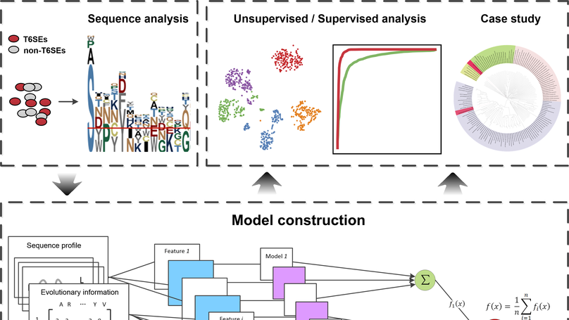Bastion6: a bioinformatics approach for accurate prediction of type VI secreted effectors