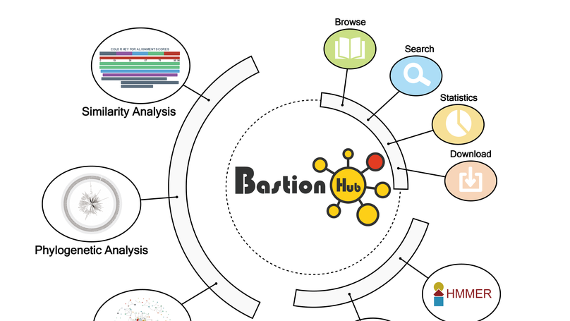 BastionHub: a universal platform for integrating and analyzing substrates secreted by Gram-negative bacteria